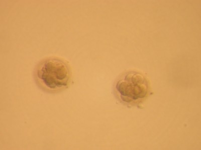 ET_20130906.jpg