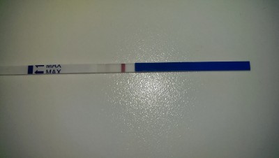 IMAG0423.jpg