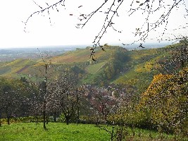 2005_10_250008.JPG