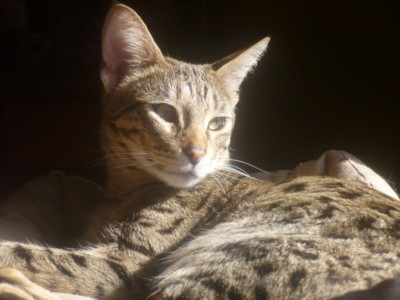 Sonne-geniessen.jpg