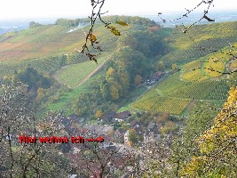 riingelbach.JPG
