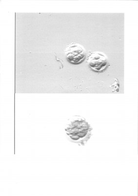 8A 10A 16A.jpg