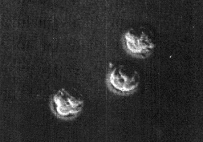 img1931.jpg