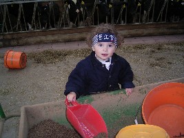 Bilder10.06.2005 098.jpg