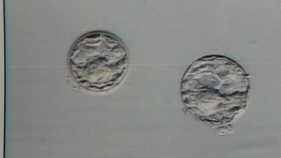 20160321_080428.jpg