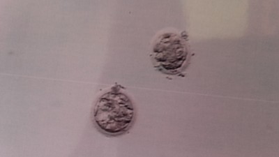 20160615_182509.jpg