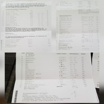 CollageMaker_20180526_180026085.jpg