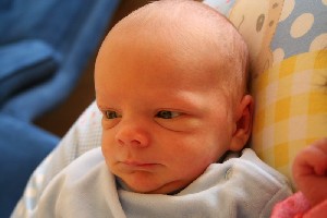 IMG_0308.JPG