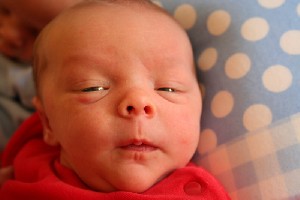IMG_0312.JPG