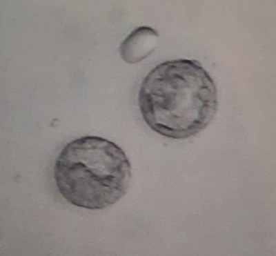 20191116_164146.jpg