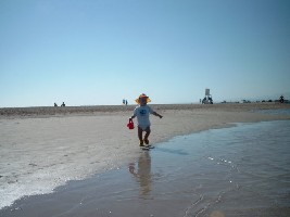 Maurice am Roten Meer