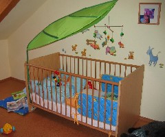 IMG_1914.jpg